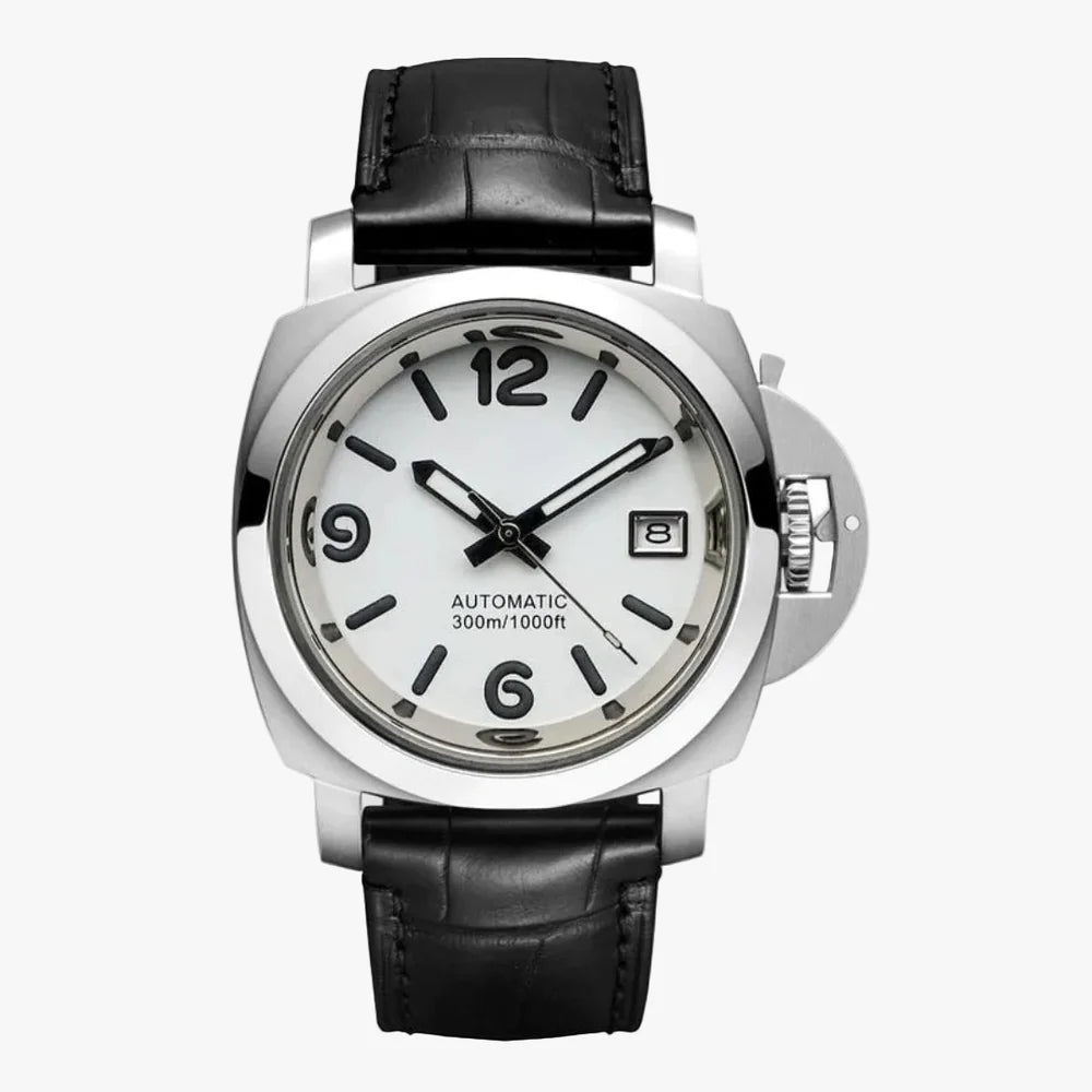CUSTOM PANEIKO REGATTA MOD FROST SEAL EDITION